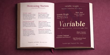 Noctera Variable Font Poster 4