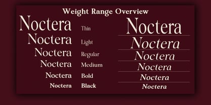 Noctera Variable Font Poster 5