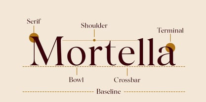 Noctera Variable Font Poster 3