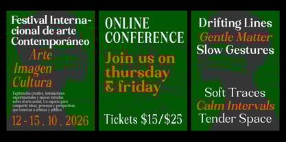 Rasheek Font Poster 9