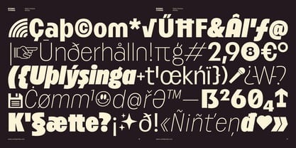 Betamax Font Poster 9