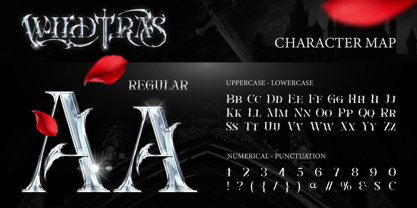 Wildtras Font Poster 2
