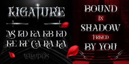 Wildtras Font Poster 6
