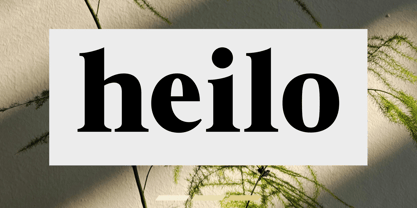 Charem Editorial Font Poster 6