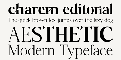 Charem Editorial Font Poster 3