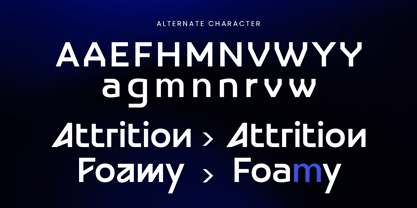 Norm Font Poster 11