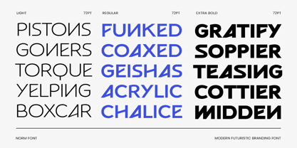 Norm Font Poster 9
