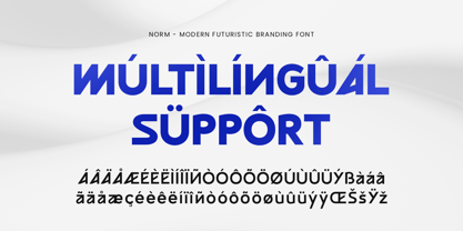 Norm Font Poster 14