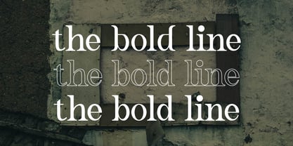 Caleny Font Poster 4