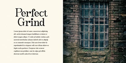 Caleny Font Poster 7
