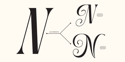 Dh Nottera Elegance Font Poster 13