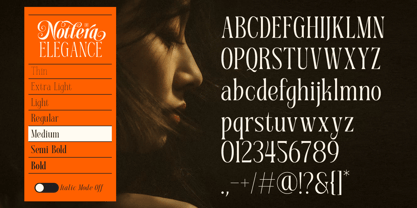 Dh Nottera Elegance Font Poster 12