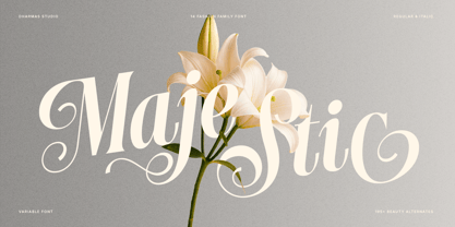 Dh Nottera Elegance Font Poster 2