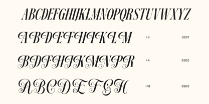 Dh Nottera Elegance Font Poster 15