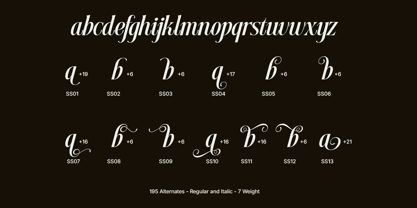 Dh Nottera Elegance Font Poster 14