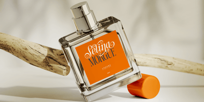 Dh Nottera Elegance Font Poster 9