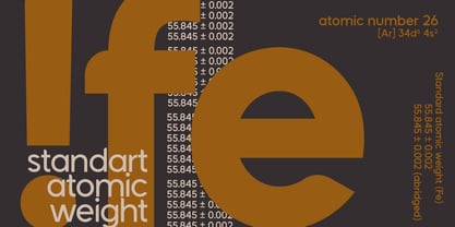 Rensor S Font Poster 5