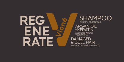 Rensor S Font Poster 4