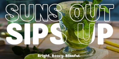 Dolphino Font Poster 5