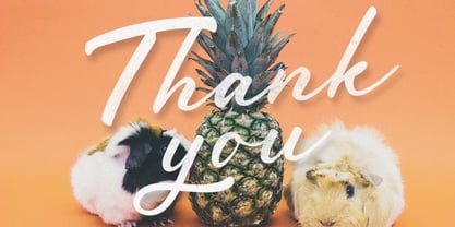 Society Font Poster 6