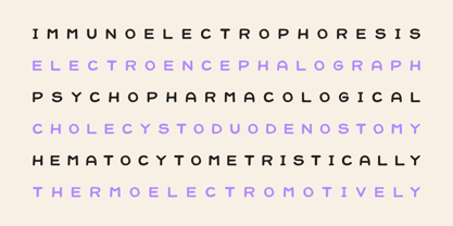 Jellybon Font Poster 13