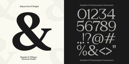 Zn Relyne Font Poster 13
