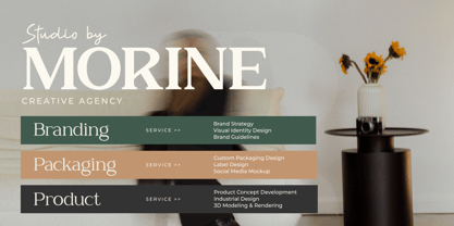 Zn Relyne Font Poster 8
