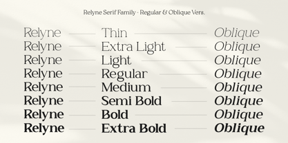 Zn Relyne Font Poster 2