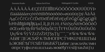 Zn Relyne Font Poster 14