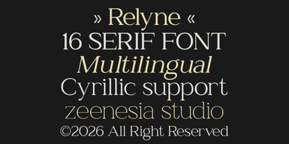 Zn Relyne Font Poster 9