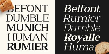 Zn Relyne Font Poster 6