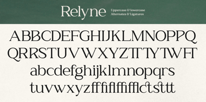 Zn Relyne Font Poster 12
