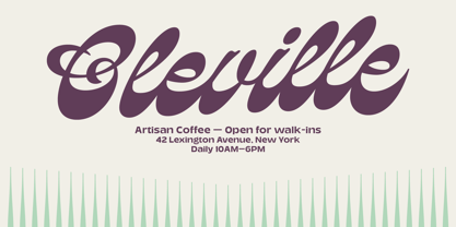 Olivian Font Poster 9