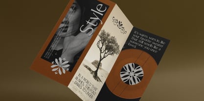 Alba Ophezia Font Poster 8