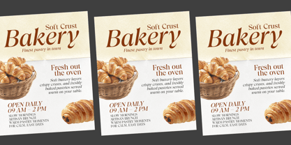 Trefally Serif Font Poster 7