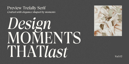 Trefally Serif Font Poster 4