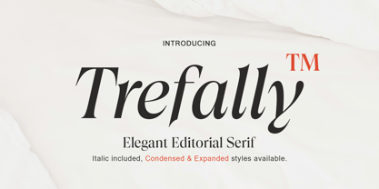 Trefally Serif Font Poster 1