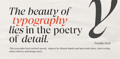 Trefally Serif Font Poster 2