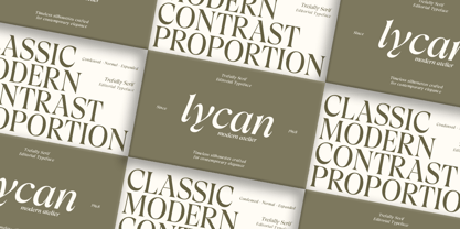 Trefally Serif Font Poster 6