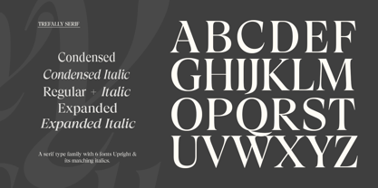 Trefally Serif Font Poster 10