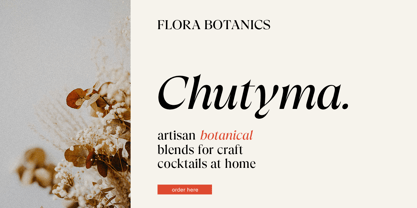 Trefally Serif Font Poster 5