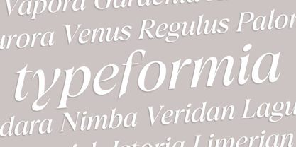 Trefally Serif Font Poster 9