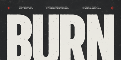 TRT Burn Font Poster 1
