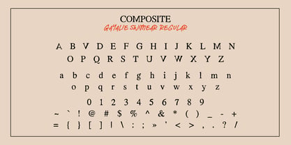 Gayalie Swimwear Serif Font Poster 9