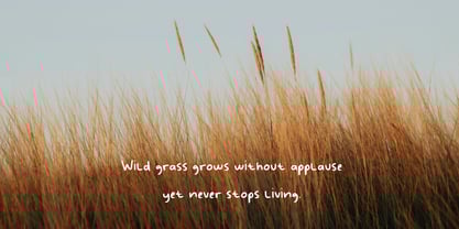 Handy Wonders Font Poster 4