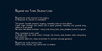 Handy Wonders Font Poster 6