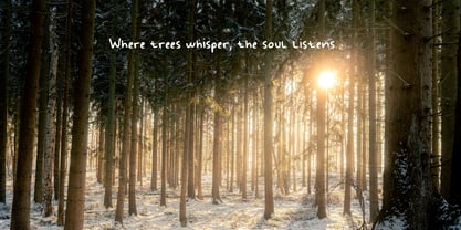 Handy Wonders Font Poster 5