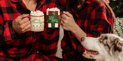 Belgion Font Poster 9