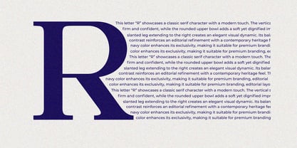 Meylo Roman Font Poster 6