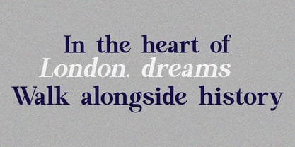 Meylo Roman Font Poster 11